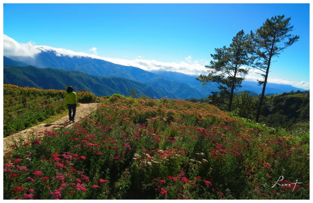 Cordillera Tourism Guide | 6 Provinces & Best Highlights Cordillera tourism guide