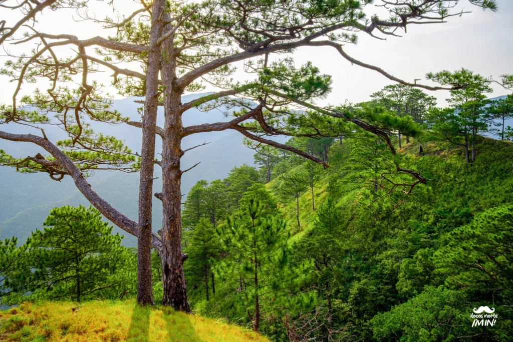 Ilocos Region Tourism Guide | 4 Provinces & Best Highlights Ilocos Norte tourism guide